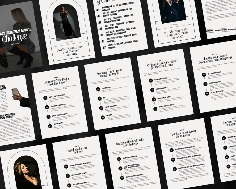 30 Day Instagram Growth Challenge W/ MRR + PLR